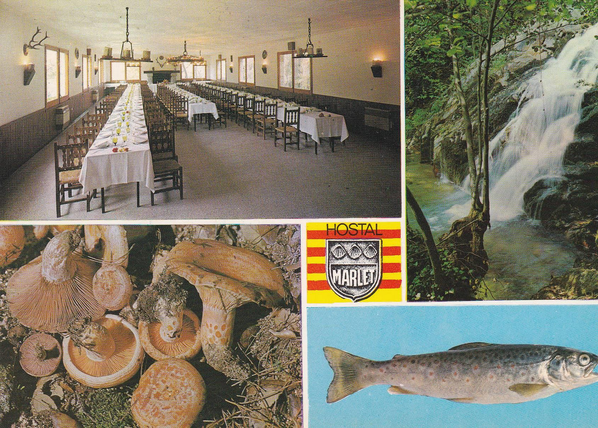 POSTAL 18627: RIELLS DE MONTSENY: HOSTAL MARLET