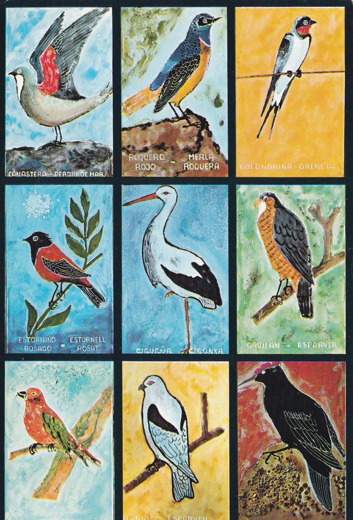 POSTAL 18693: EL PEDREGAL: AVES Y PAJAROS