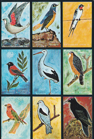 POSTAL 18693: EL PEDREGAL: AVES Y PAJAROS