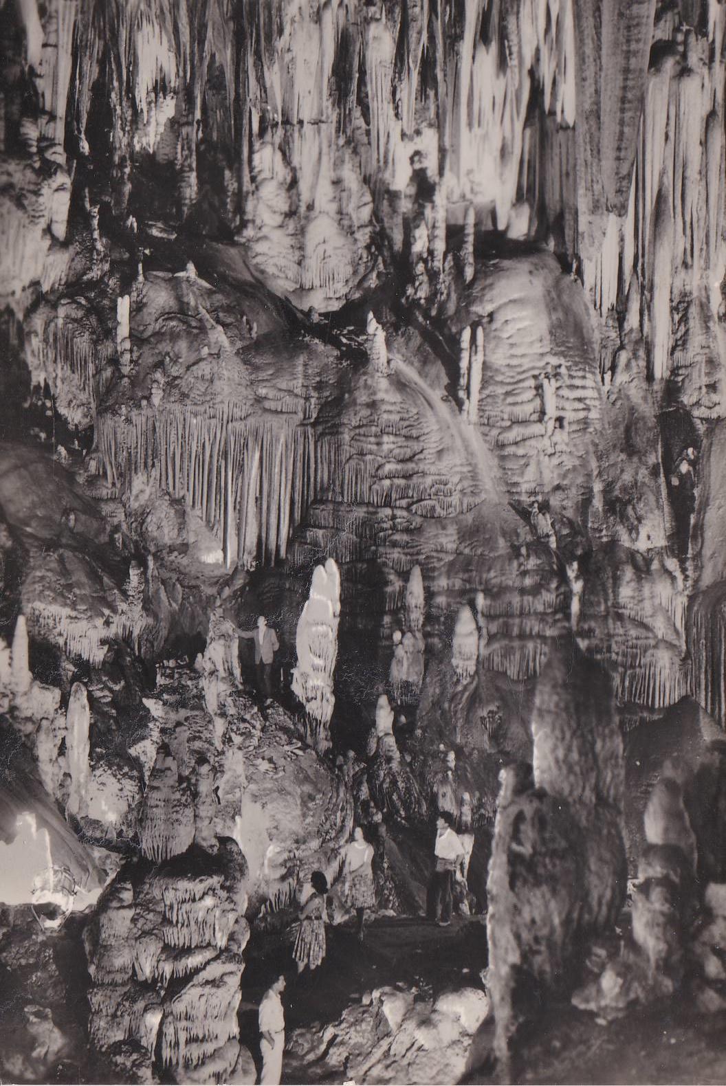 POSTAL 18708: MALAGA: CUEVA DE NERJA