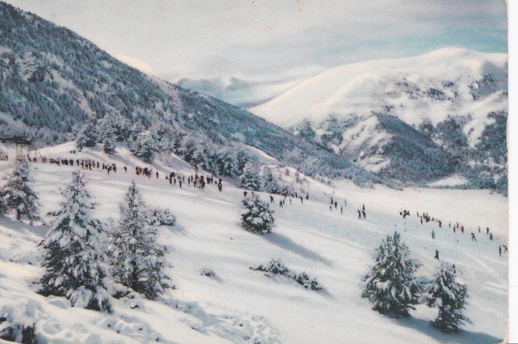 POSTAL 18732: PIRINEOS ORIENTALES: LA MOLINA