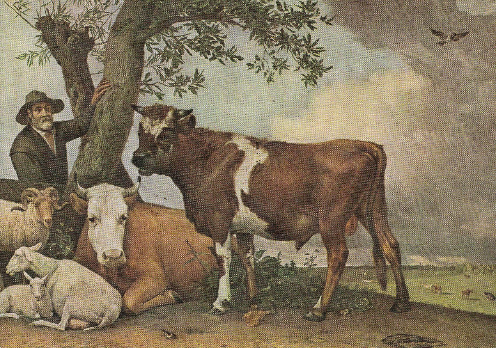 POSTAL 18765: PAULUS POTTER: DE JONGE STIER