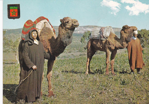 POSTAL 18782: TANGER: CAMELLOS