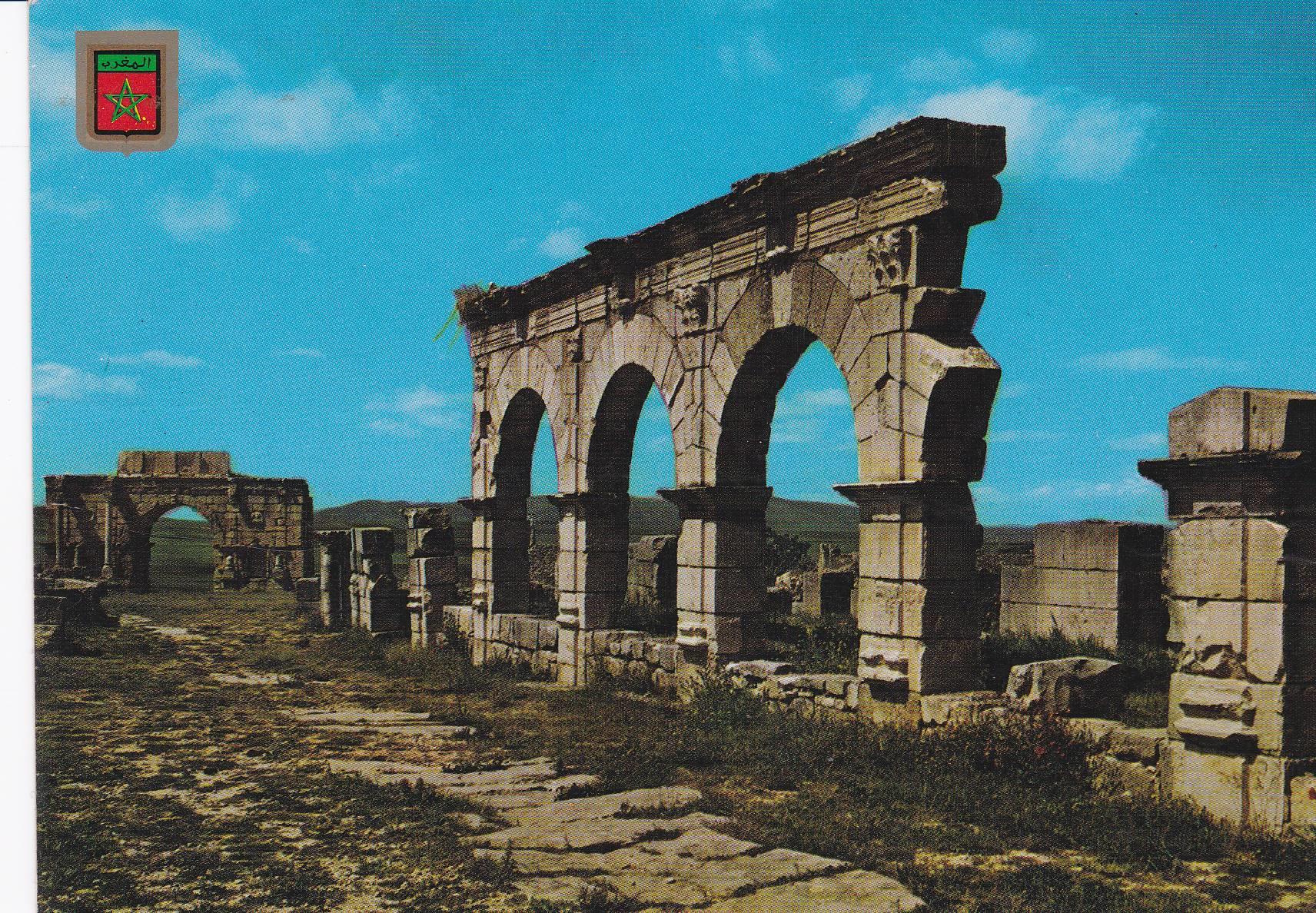 POSTAL 18785: VOLUBILIS: RUINAS DEL FORO