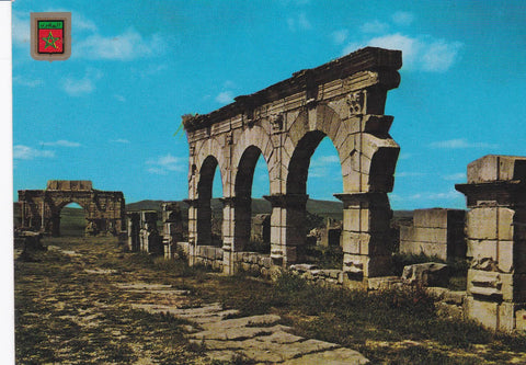 POSTAL 18785: VOLUBILIS: RUINAS DEL FORO