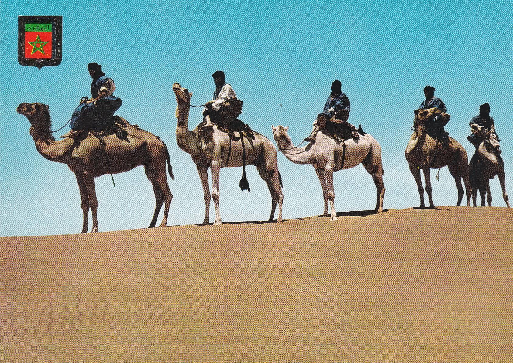POSTAL 18860: MARRUECOS: CARAVANA DE MAHARISTAS