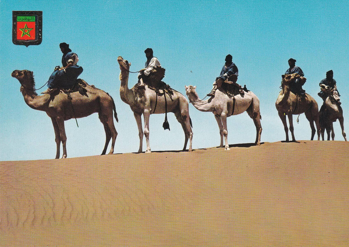 POSTAL 18860: MARRUECOS: CARAVANA DE MAHARISTAS