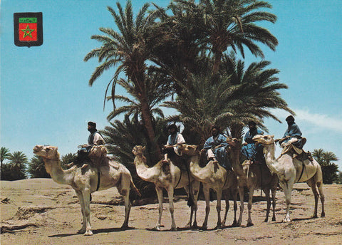 POSTAL 18861: MARRUECOS: M. HAMID