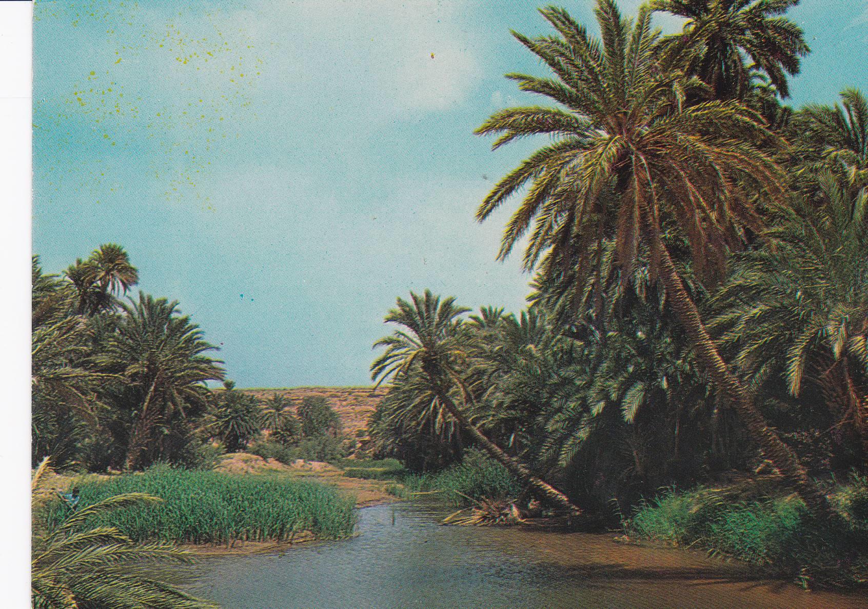 POSTAL 18866: OASIS SAHARA