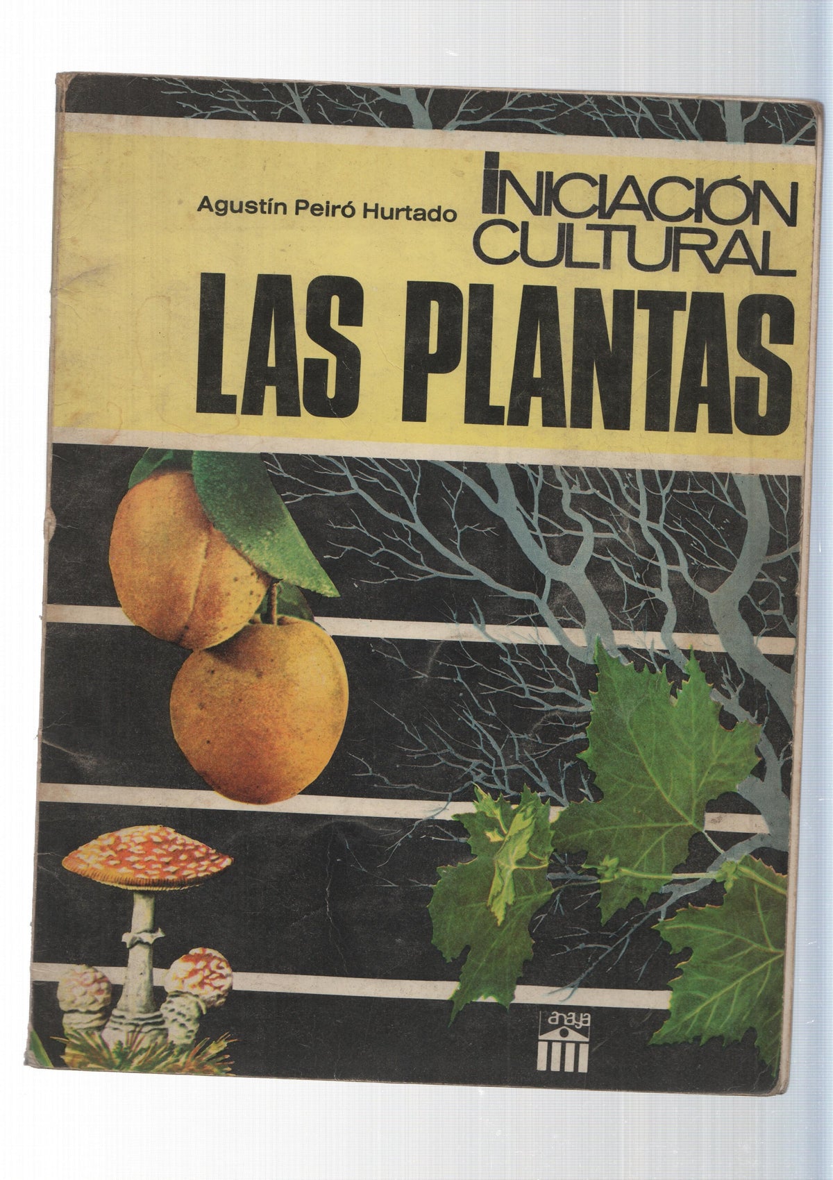 Iniciacion cultural: Las Plantas