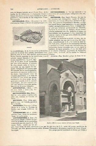 LAMINA ESPASA 7012: Sepulcro de Antenor segun Virgilio