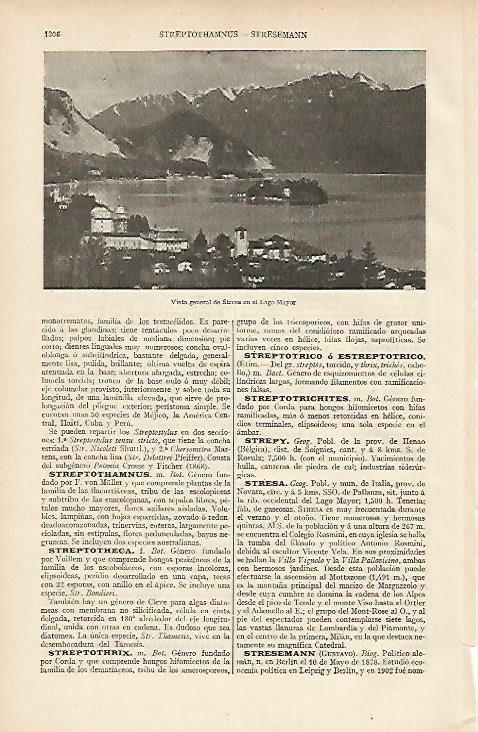 LAMINA ESPASA 7385: Vista general de Stresa Italia