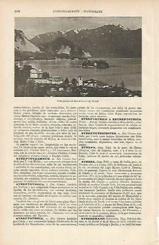 LAMINA ESPASA 7385: Vista general de Stresa Italia
