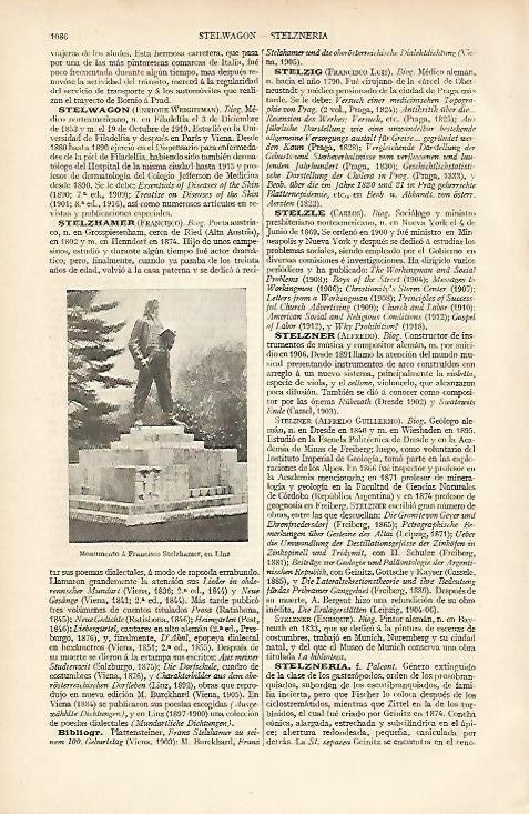 LAMINA ESPASA 7405: Monumento a Stelzhamer en Linz Austria