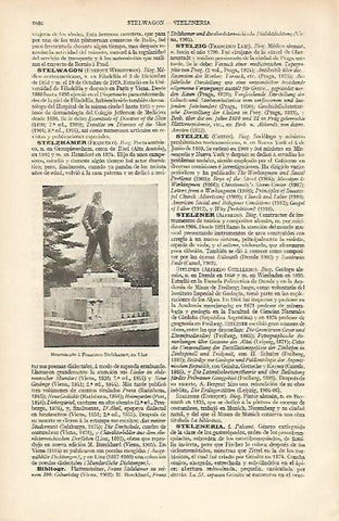 LAMINA ESPASA 7405: Monumento a Stelzhamer en Linz Austria