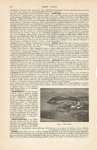 LAMINA ESPASA 7432: Vista general de Spiez Suiza