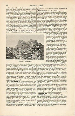 LAMINA ESPASA 7435: Vista general de Sperlinga Italia