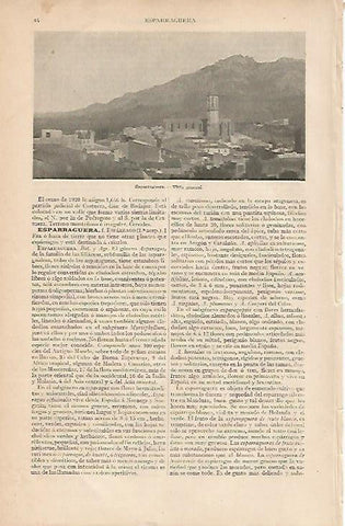 LAMINA ESPASA 7830: Vista general de Esparraguera Barcelona