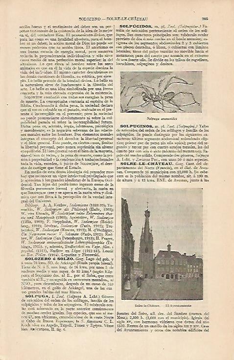 LAMINA ESPASA 7530: Ayuntamiento de Solre-le-Cahteau Francia