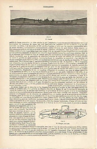 LAMINA ESPASA 7369: El Narval