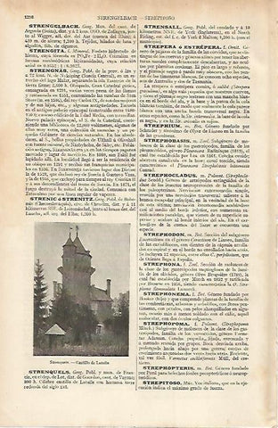 LAMINA ESPASA 7386: Castillo de Latulle Francia