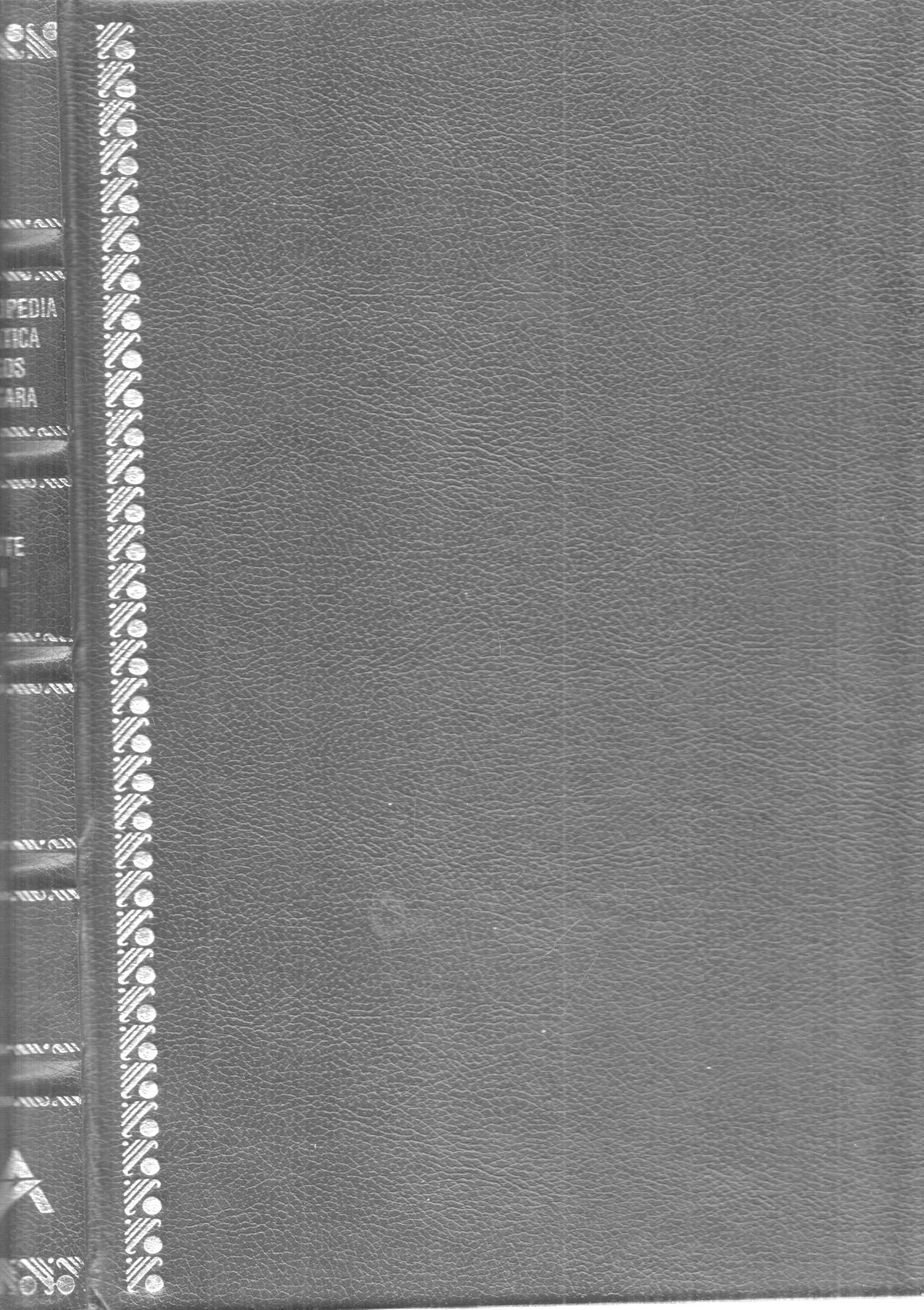 Enciclopedia Tematica Argos Vergara: Arte Volumen I