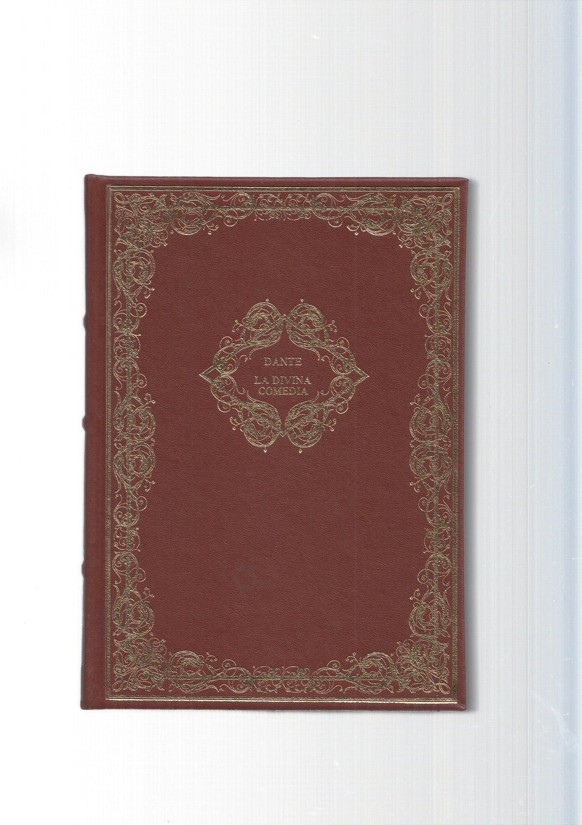 Grandes genios de la literatura universal vol.14:La Divina Comedia Vol II