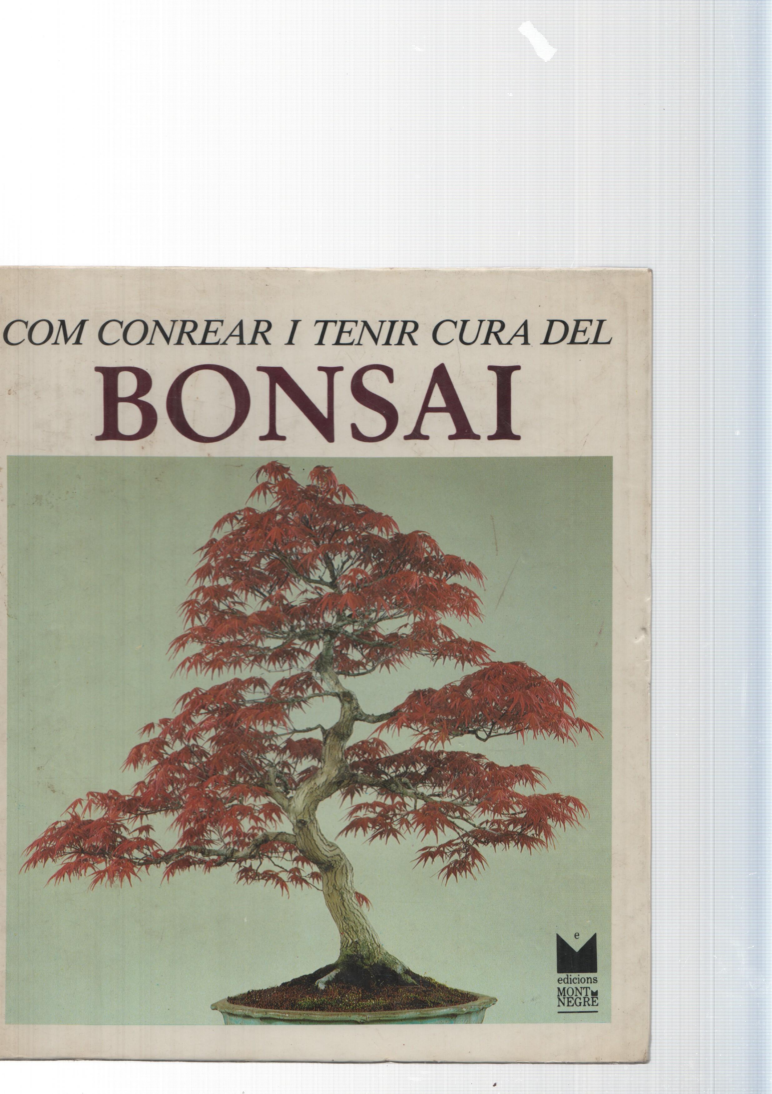 Com conrear i tenir cura del Bonsai