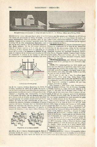 LAMINA ESPASA 20451: Trirreremes de la antigua Grecia
