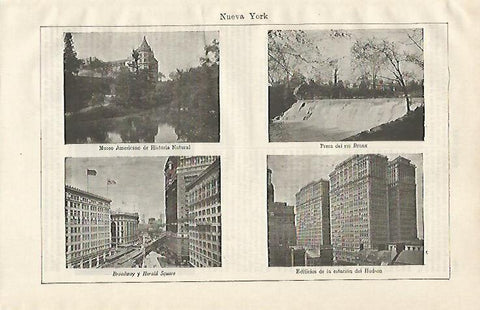 LAMINA ESPASA 20336: Vistas de Nueva York
