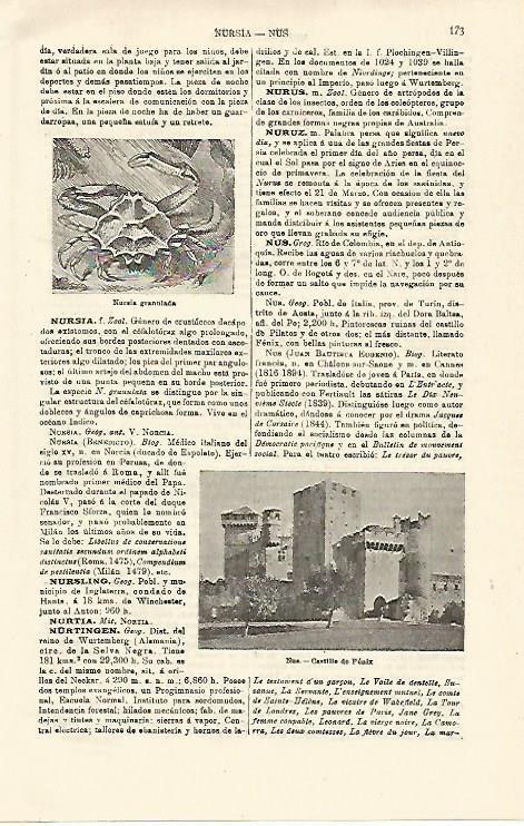 LAMINA ESPASA 21220: Castillo de Feniz en Nus Italia