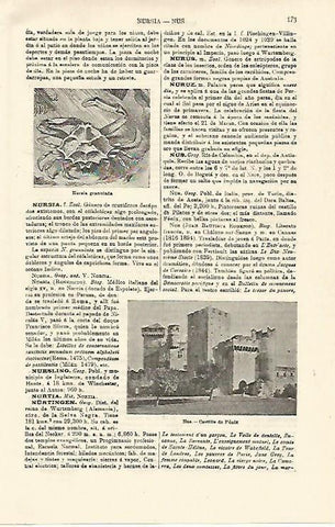 LAMINA ESPASA 21220: Castillo de Feniz en Nus Italia