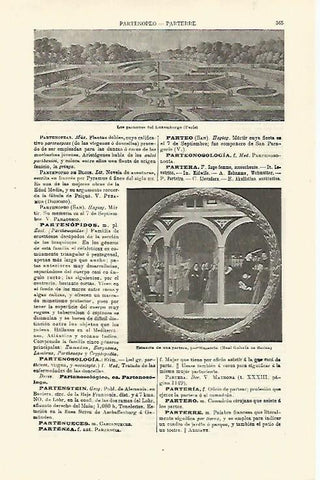 LAMINA ESPASA 23394: Los parterres de Luxemburgo en Paris