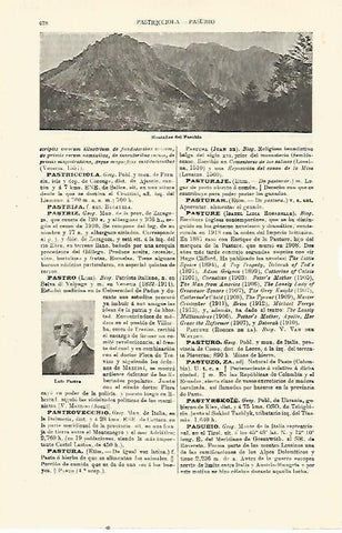 LAMINA ESPASA 23435: Montañas del Pasubio