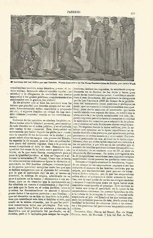 LAMINA ESPASA 23457: El bautismo del reyy Alfino por San Patricio