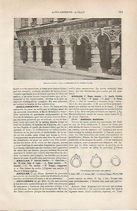LAMINA ESPASA 23794: Columnas anilladas