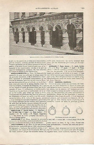 LAMINA ESPASA 23794: Columnas anilladas