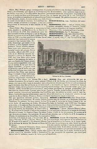 LAMINA ESPASA 24126: Ruinas de Mi Son en Amman
