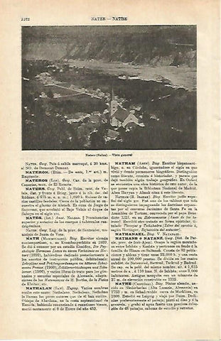 LAMINA ESPASA 24679: Vista de Naters en Suiza