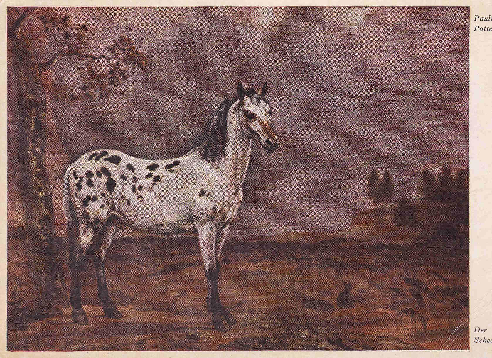 POSTAL 18981: PAULUS POTTER: DER SCHECKE