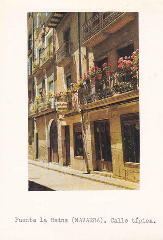 POSTAL 19054: NAVARRA: PUENTE DE LA REINA