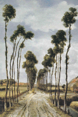 POSTAL 19085: MEYNDERT HOBBEMA: LA AVENIDA MIDDLEHARNIS