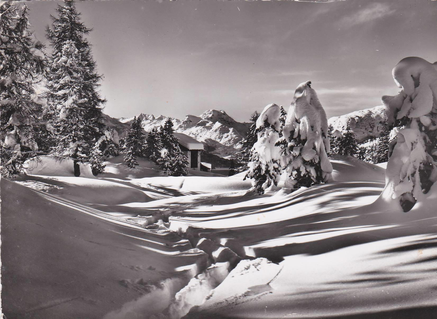 POSTAL 19138: OBER: ALPINA BEI ST MORITZ