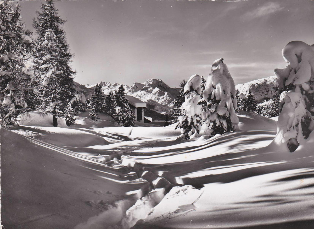POSTAL 19138: OBER: ALPINA BEI ST MORITZ