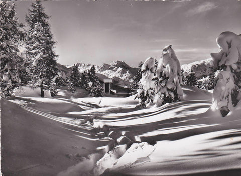 POSTAL 19138: OBER: ALPINA BEI ST MORITZ