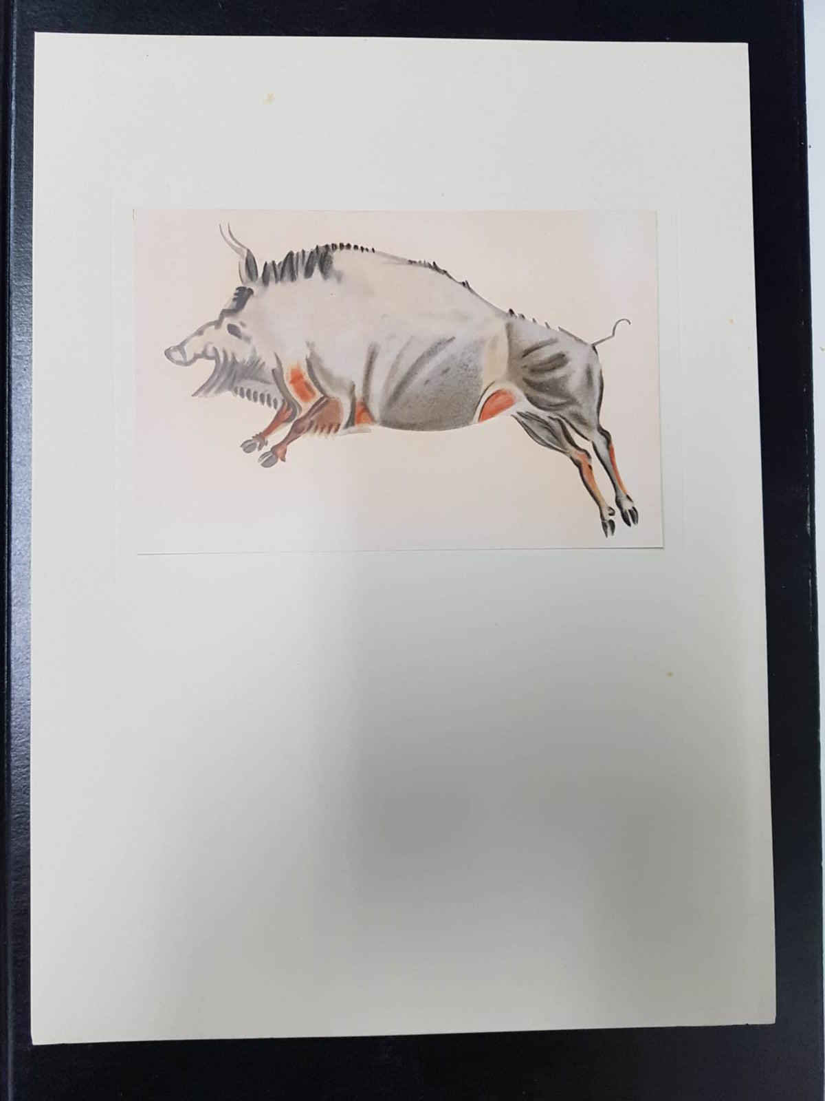 Lamina  Pintura prehistorica de Jabali en la cueva de Altamira , Santander