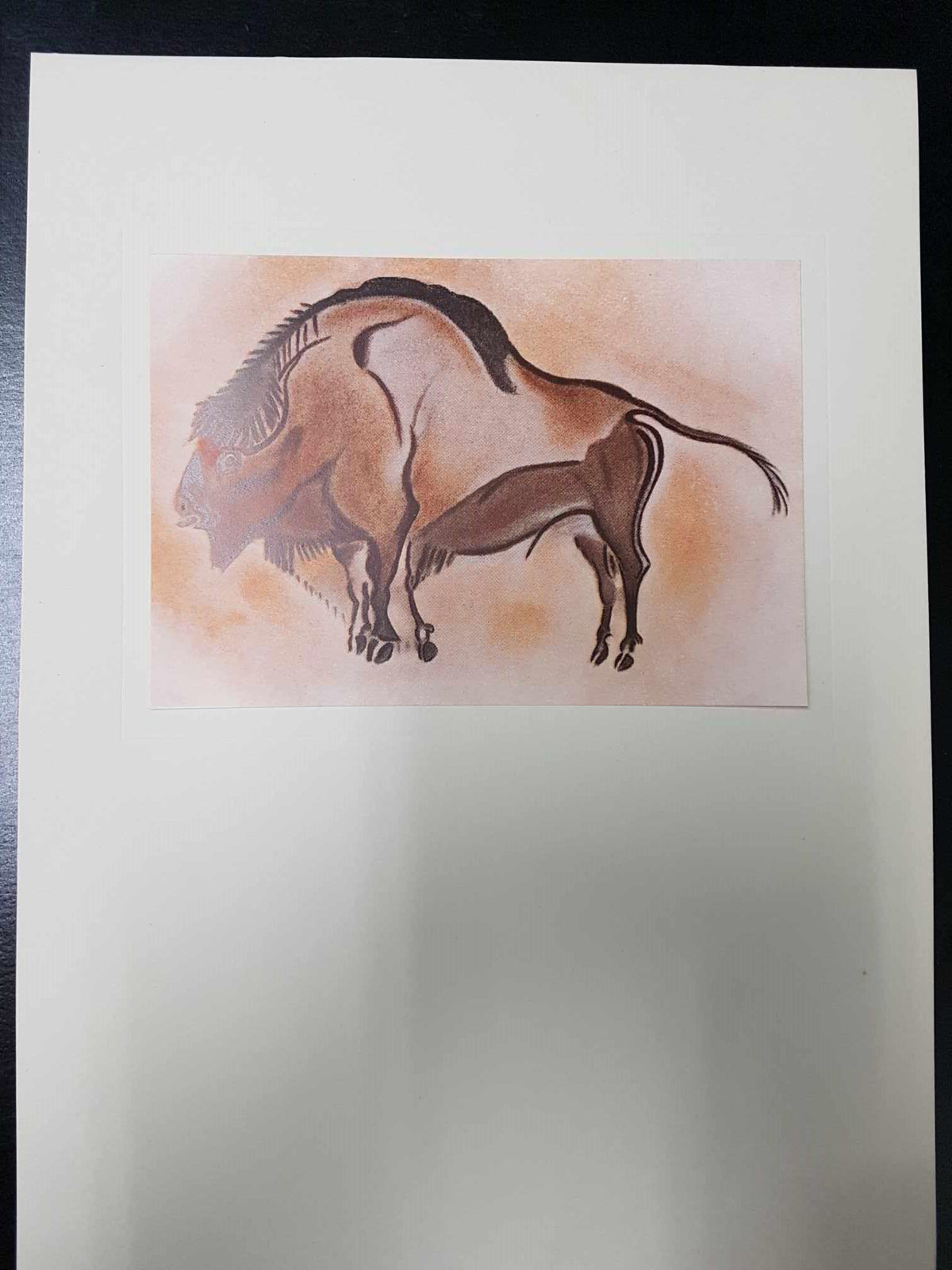 Lamina  Pintura prehistorica de Bisonte en la cueva de Altamira , Santander