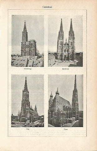 LAMINA ESPASA 3004: Catedral de Estrasburgo Ratisbona Ulmi y Viena