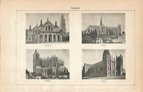 LAMINA ESPASA 3001: Catedral de Amiens Poitiers Le Mans y Perigeux