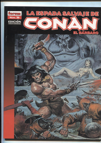 La Espada Salvaje de Conan volumen 1 tercera edicion numero 36: la noche de la rata